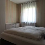 Rent 2 bedroom apartment of 49 m² in Braunschweig