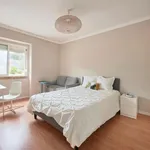 Rent 4 bedroom apartment in Lisbon