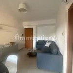 Rent 3 bedroom apartment of 70 m² in Bologna