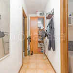 Rent 2 bedroom apartment of 50 m² in Busnago