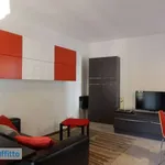 Rent 2 bedroom apartment of 60 m² in Milan