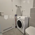 Rent 1 bedroom apartment of 60 m² in Zagreb