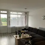 Miete 2 Schlafzimmer wohnung von 55 m² in Monheim am Rhein