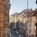 Rent 5 bedroom apartment in Prague