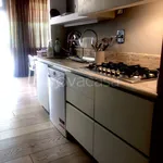 Rent 5 bedroom apartment of 150 m² in Viareggio