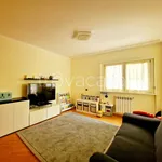 Rent 3 bedroom apartment of 90 m² in Roma