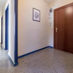 Rent 5 bedroom apartment in Valencia