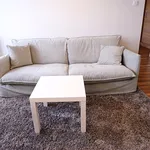 Rent 2 bedroom apartment of 43 m² in Gliwice