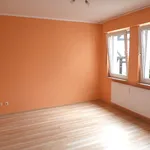 Rent 2 bedroom apartment of 65 m² in Zentrum