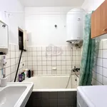 Rent 2 bedroom apartment of 50 m² in Capital City of Prague