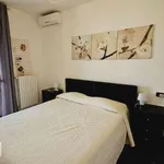 Rent 2 bedroom apartment of 50 m² in Milan