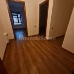 Rent 4 bedroom apartment of 141 m² in Cagliari