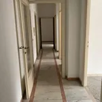 Affitto 4 camera appartamento di 87 m² in Roma