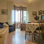 Rent 3 bedroom apartment of 75 m² in Massa