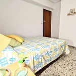 Rent a room in valencia