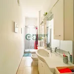 Rent 2 bedroom apartment of 55 m² in Turin