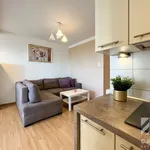 Rent 2 bedroom apartment of 47 m² in Katowice