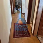 Rent 4 bedroom apartment of 100 m² in Empoli