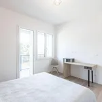 Rent 1 bedroom apartment in Bologna