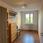 Rent 2 bedroom apartment of 38 m² in Poznań