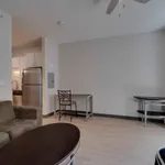 Rent 1 bedroom apartment in Minneapolis