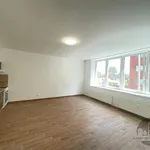 Rent 1 bedroom apartment of 36 m² in Praha