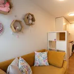 Rent 4 bedroom apartment of 40 m² in Zlín