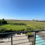 Rent 2 bedroom apartment in Chenestre