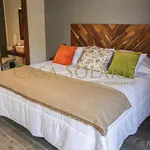 Rent 2 bedroom apartment in Guanajuato