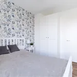 Rent 3 bedroom apartment of 60 m² in Warsaw