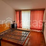 Rent 3 bedroom apartment of 115 m² in Roma