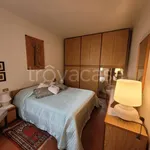 Rent 3 bedroom apartment of 65 m² in Vittoria Apuana