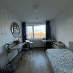 Rent 1 bedroom apartment of 17 m² in Bremen