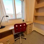 Rent 7 bedroom apartment in Valencia