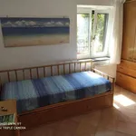 3-room flat good condition, Pollica