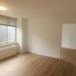 Rent 1 bedroom apartment of 51 m² in New York City