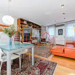 Rent 5 bedroom apartment of 270 m² in Padua