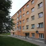 Rent 2 bedroom apartment in Sokolov