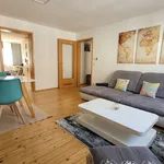 Rent 2 bedroom apartment of 55 m² in Fürth