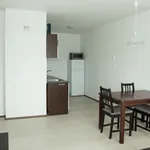 Rent 1 bedroom apartment of 45 m² in Prague