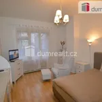 Rent 1 bedroom apartment in Capital City of Prague