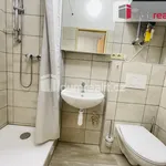 Rent 1 bedroom apartment of 30 m² in Mikulov