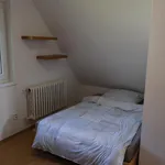 Pronajměte si 1 ložnic/e byt o rozloze 144 m² v Brno