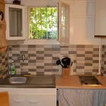 Rent 1 bedroom apartment of 28 m² in Toulouse