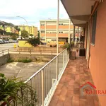 Rent 3 bedroom apartment of 80 m² in Genoa