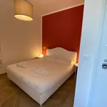 Rent 2 bedroom apartment of 45 m² in Bologna