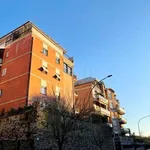 Rent 5 bedroom apartment of 140 m² in Roma