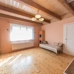 Rent 6 bedroom apartment of 200 m² in Prague