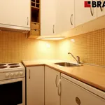 Rent 1 bedroom apartment of 38 m² in Brno