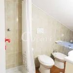 Rent 1 bedroom apartment of 28 m² in Grottaferrata